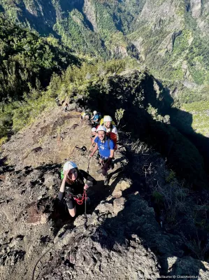 CanyonFleurJaune - 28.webp